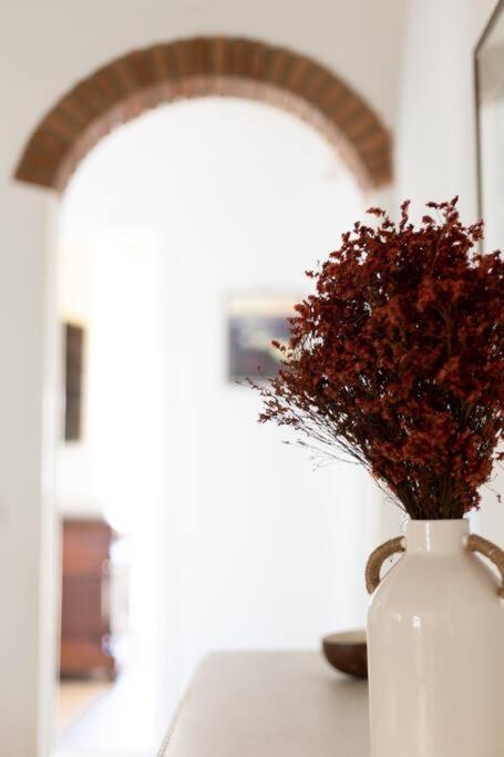 Luxury In The Center Of Florença